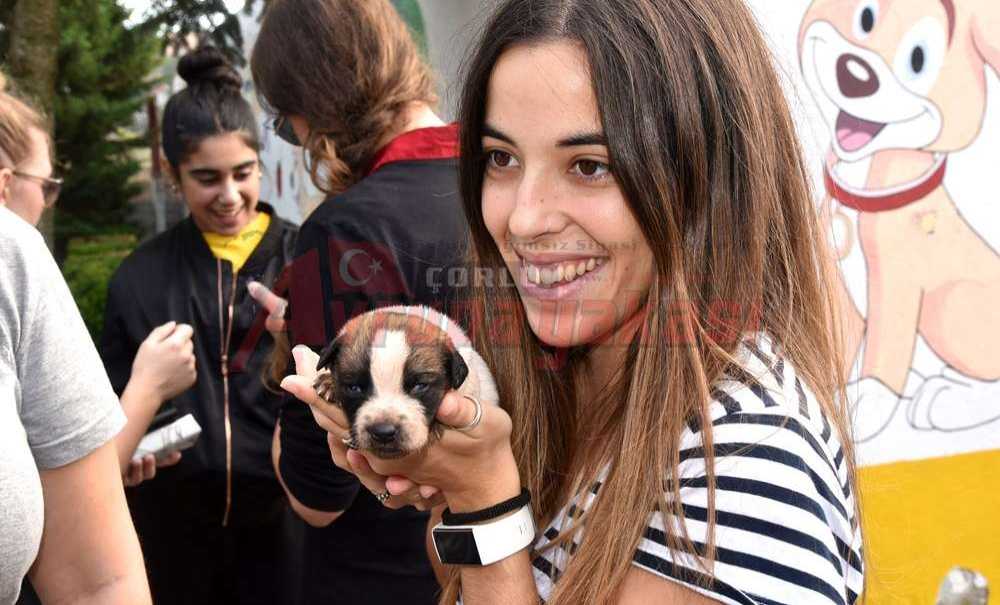Avrupalı Gençler Hayvan Hakları İçin Çorlu'da Buluştu