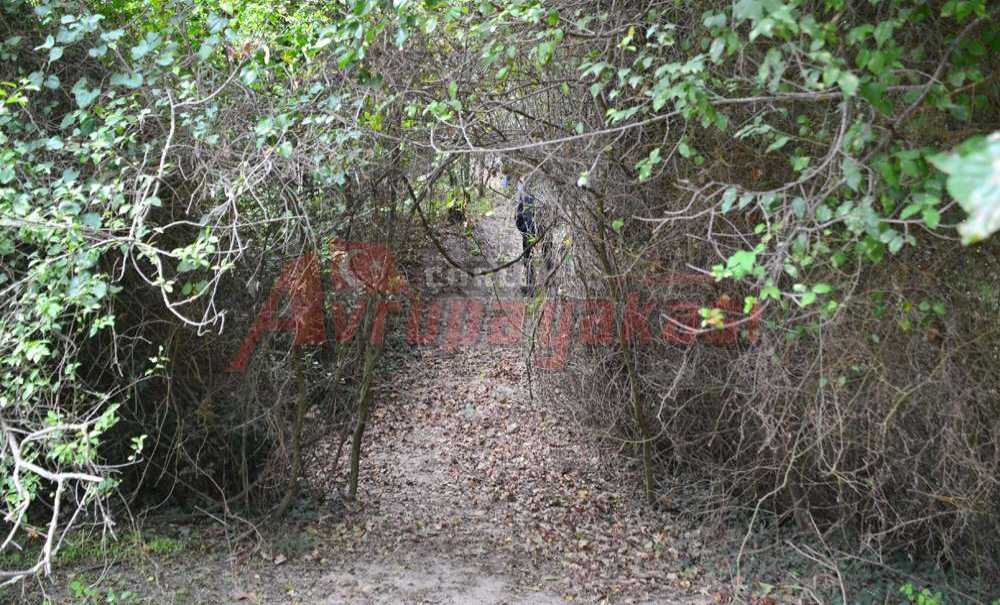 180 Bin Ağacın Kesilmesi “Olumlu”