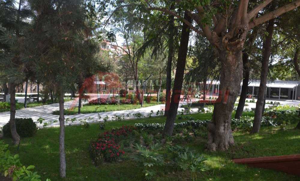 “Tam Bir Fiyasko”