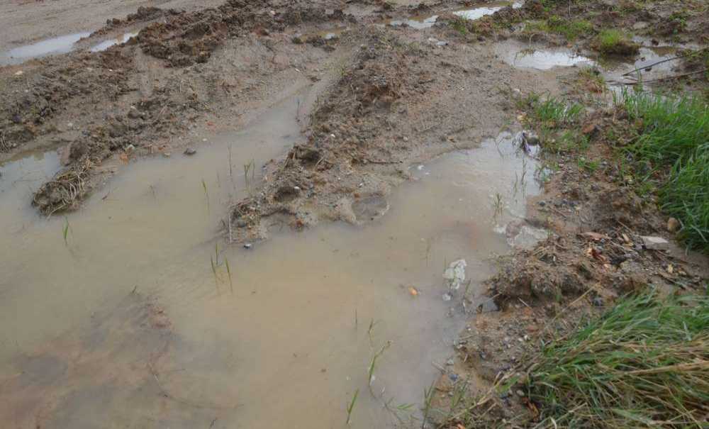 Teski Bu Kez De Çiftçileri Mağdur Etti