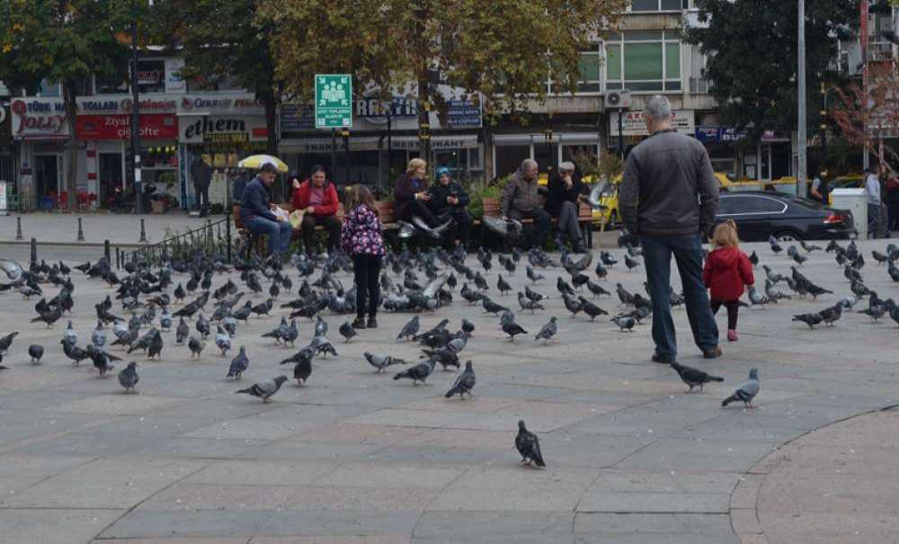 Güzel Vakit Geçiriyorlar