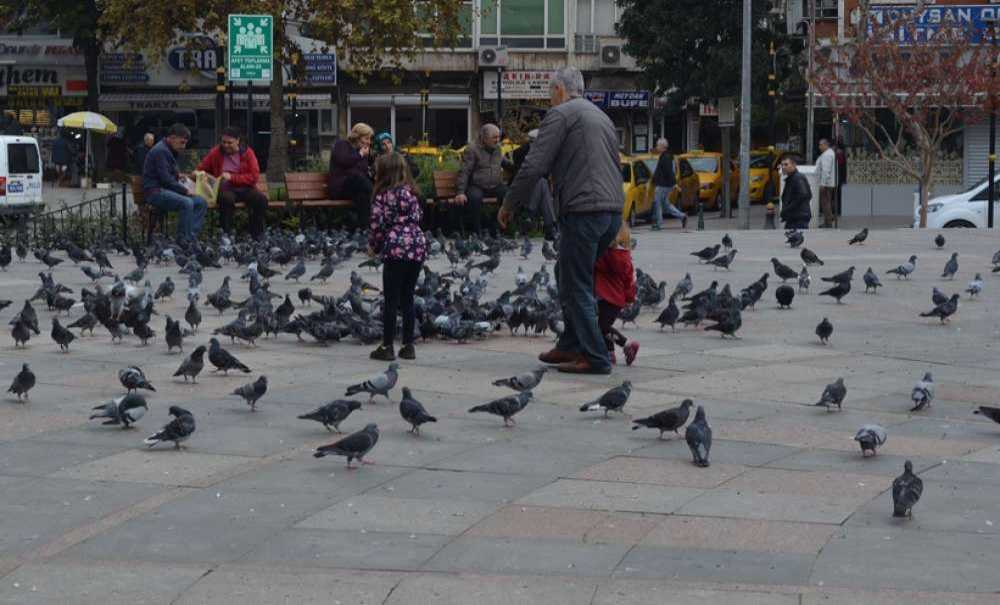 Güzel Vakit Geçiriyorlar