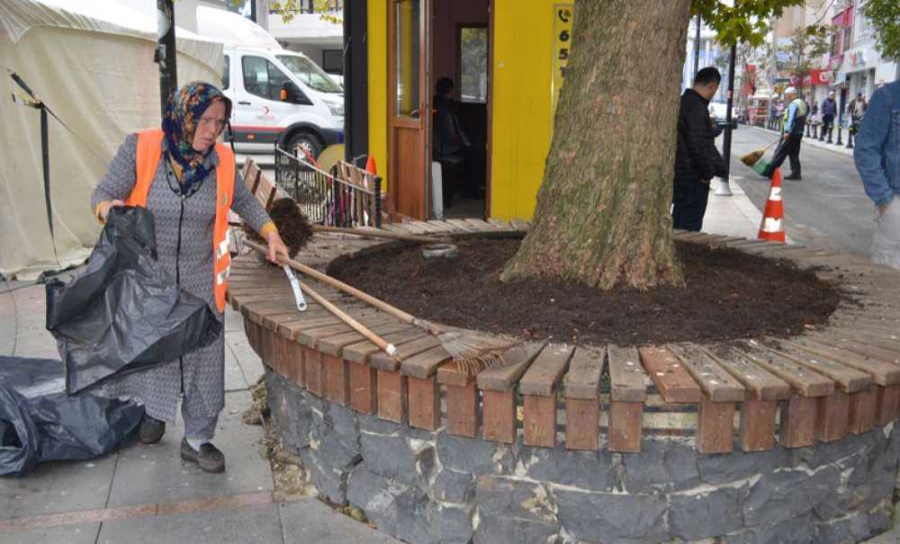 Belediyede Çalışan Kadınlar Çapa Yaptı