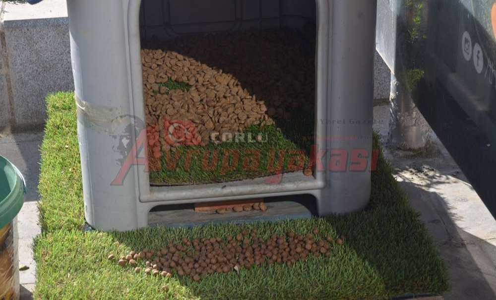 “Onlar İçin Yemek, Sevgi Ve İlgiden Sonra Geliyor”