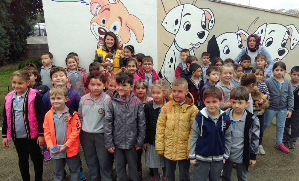 Hayvan Bakımevimize Ziyaretçi Akını