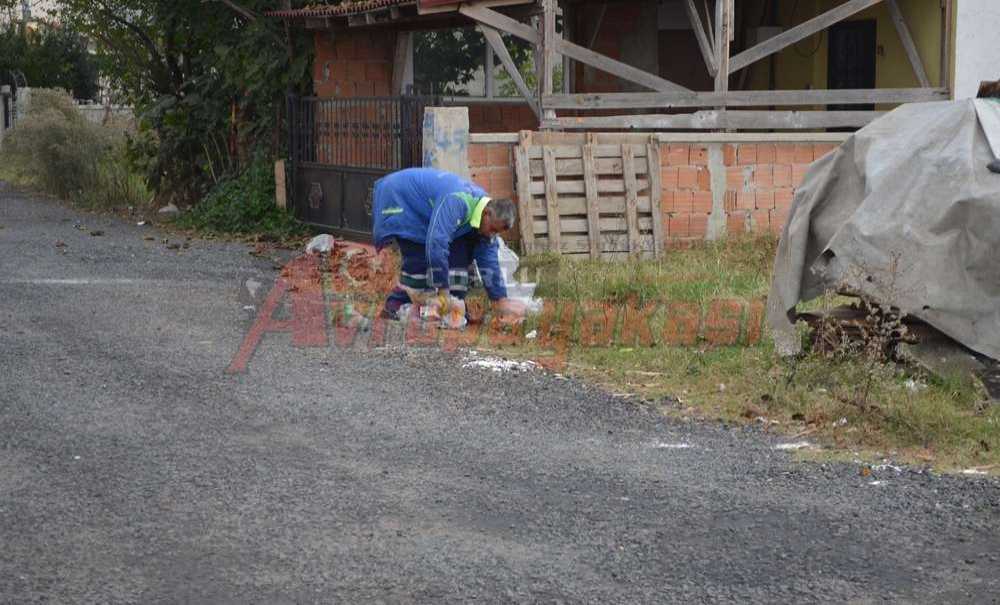 Temizlik Ekipleri Dip Bucak Temizledi