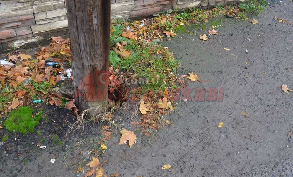 Telefon Direği Tehlike Yaratıyor