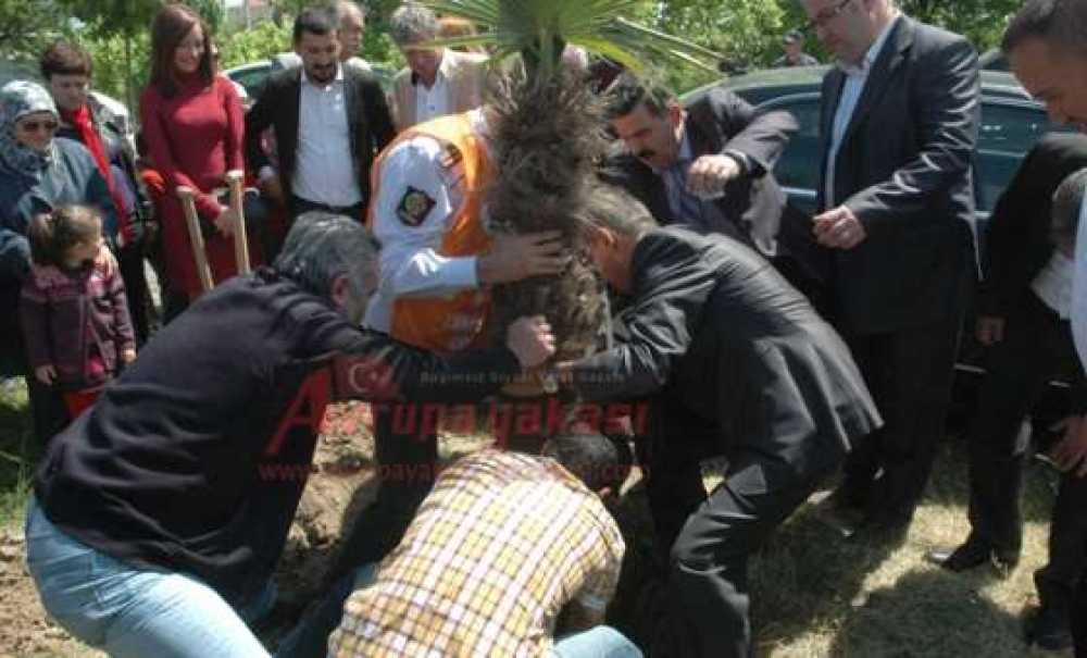 Çorlu Kaymakamı Doğan`dan Tema Fidanlığına Ziyaret