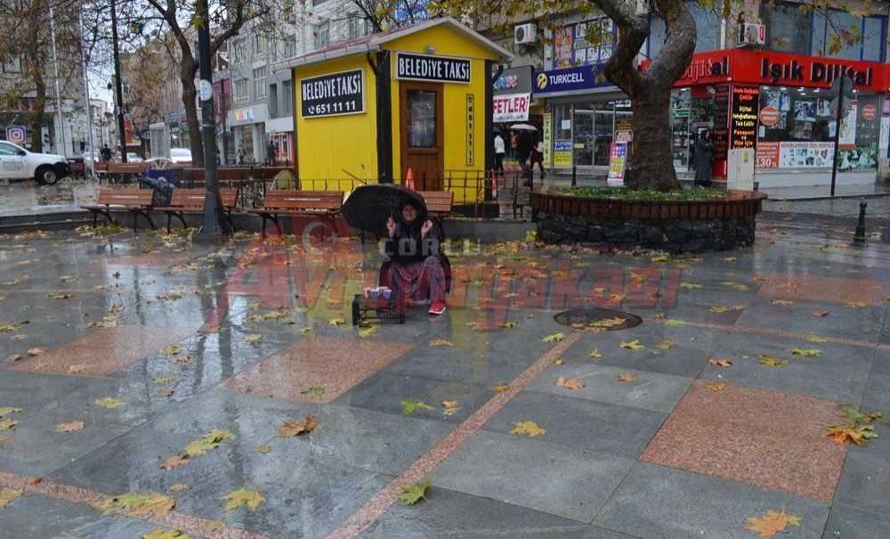 Asiye Teyze Yardım Bekliyor