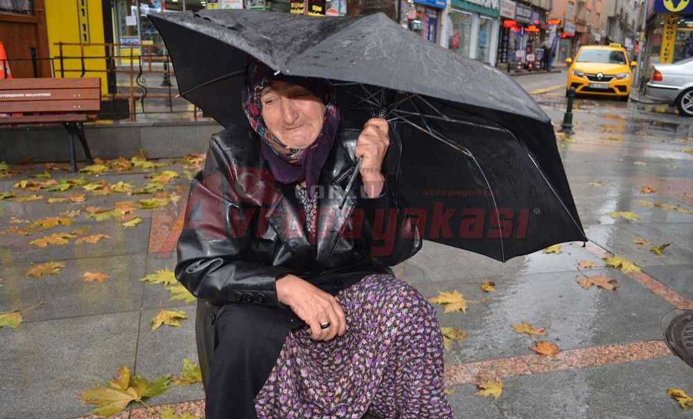Asiye Teyze Yardım Bekliyor