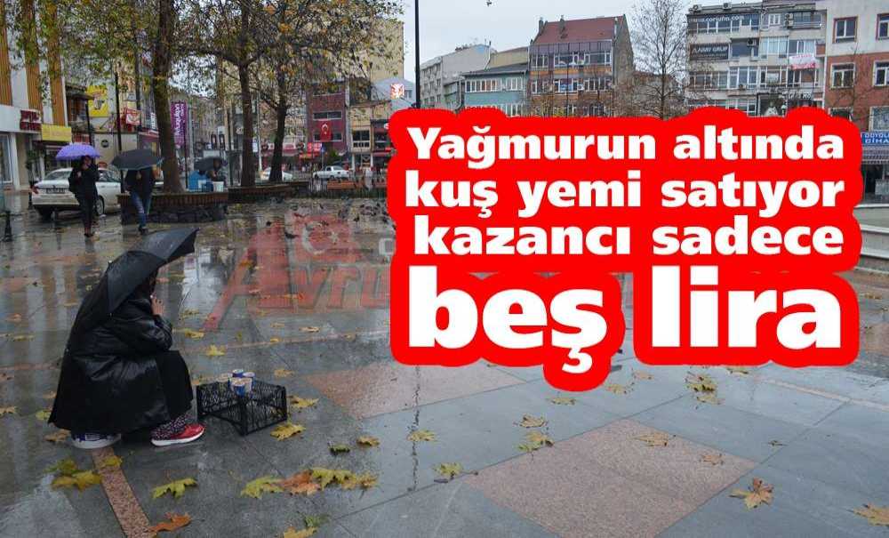 Asiye Teyze Yardım Bekliyor