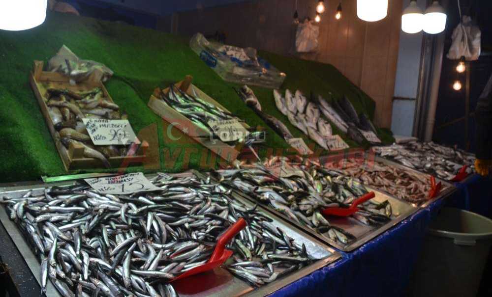 Çorlu Hamsi Seviyor!