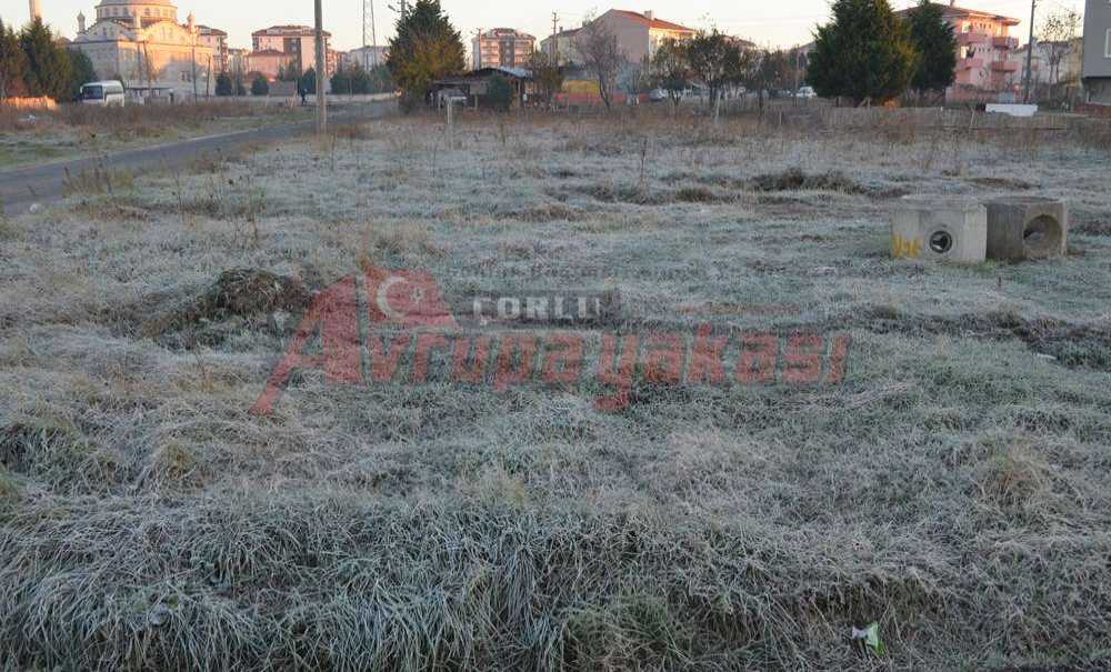 Kırağı Çorlu'yu Beyaza Bürüdü