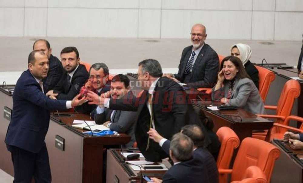 Chp'li Aygun'dan Ejder Meyveli Eleştiri