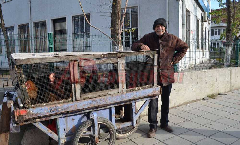 Genelde Adaklık İçin Alıyorlar