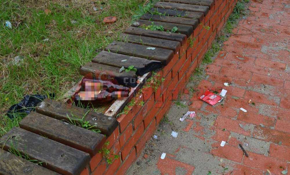 Parkın Durumu İçler Acısı