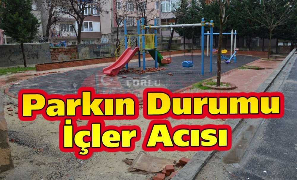 Parkın Durumu İçler Acısı