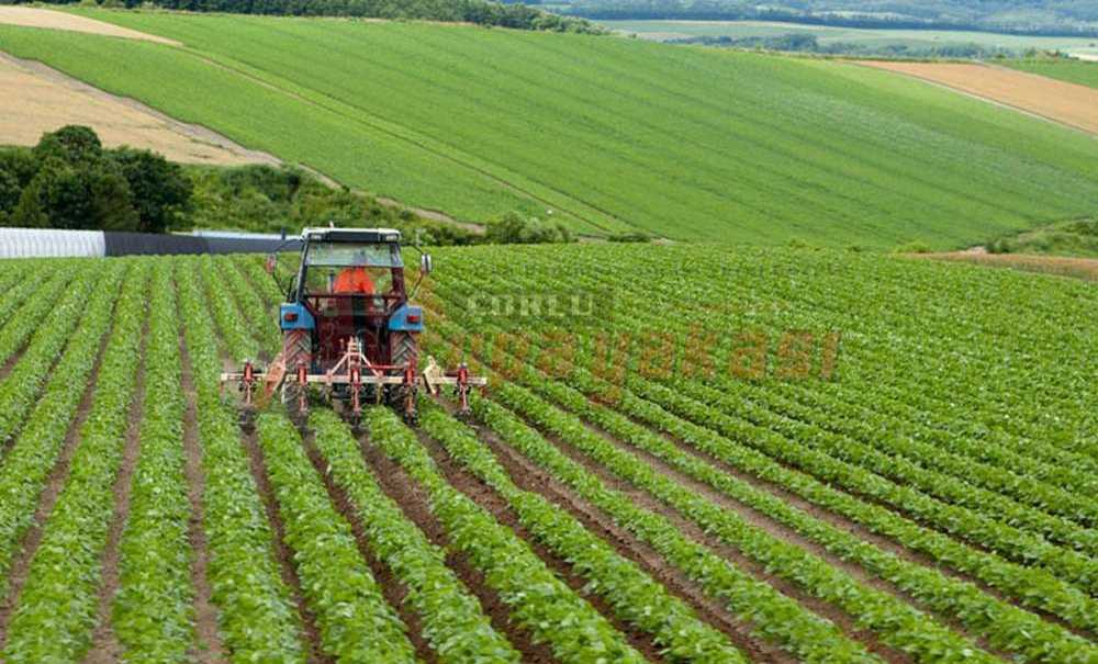 “Bu Gidişle Ekip Biçecek Çiftçi Bulamayacağız”