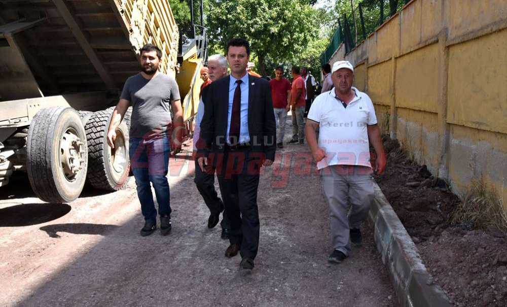 Çorlu'da Sarıkurt Sesleri Yükseliyor