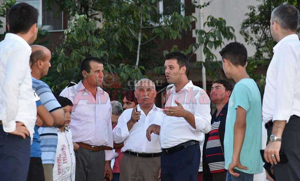 Çorlu'da Sarıkurt Sesleri Yükseliyor