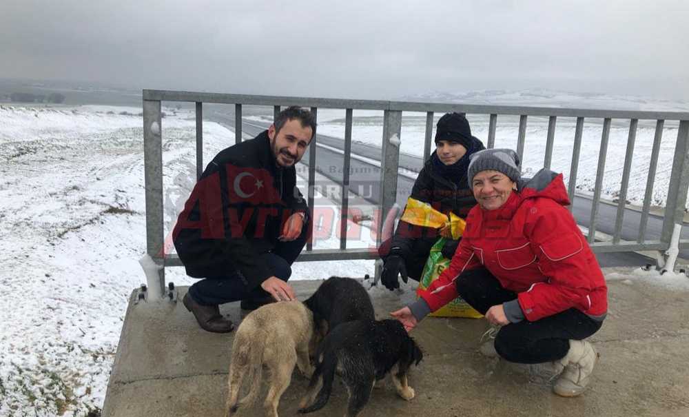 Kızılay'dan Örnek Davranış