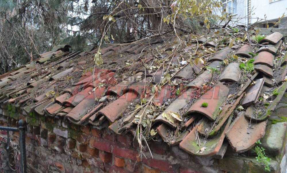 Ne Zaman Restore Edilecek