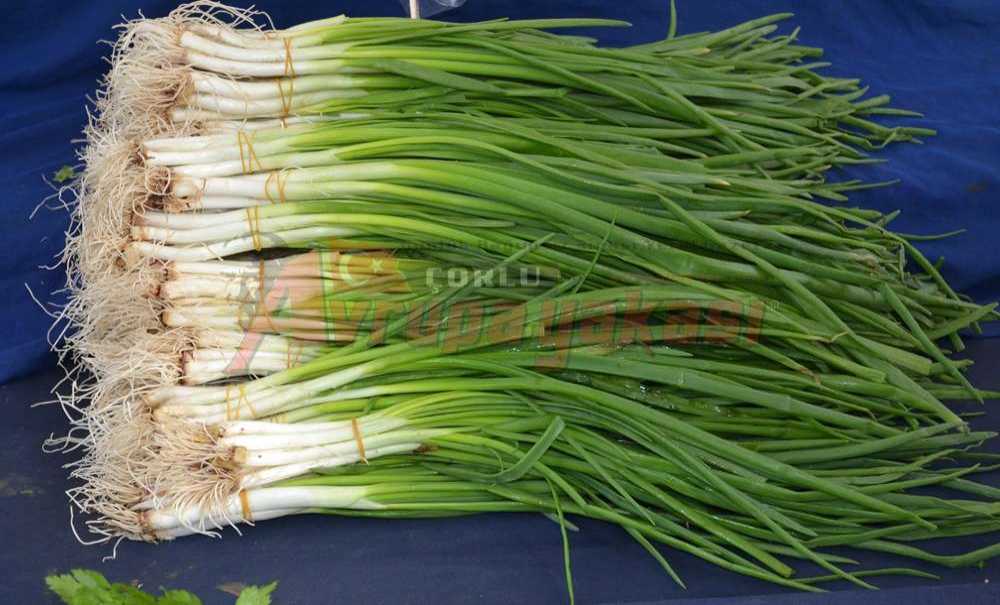 Sebze Fiyatlarının Yanına Yaklaşılmıyor