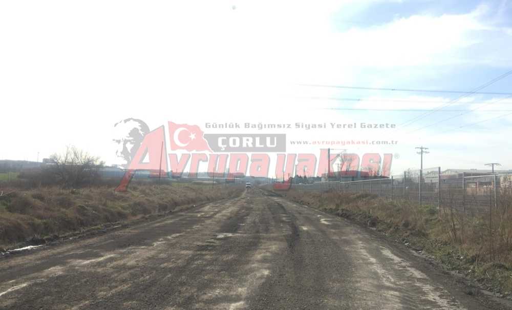 Çalışmalar Sürüyor