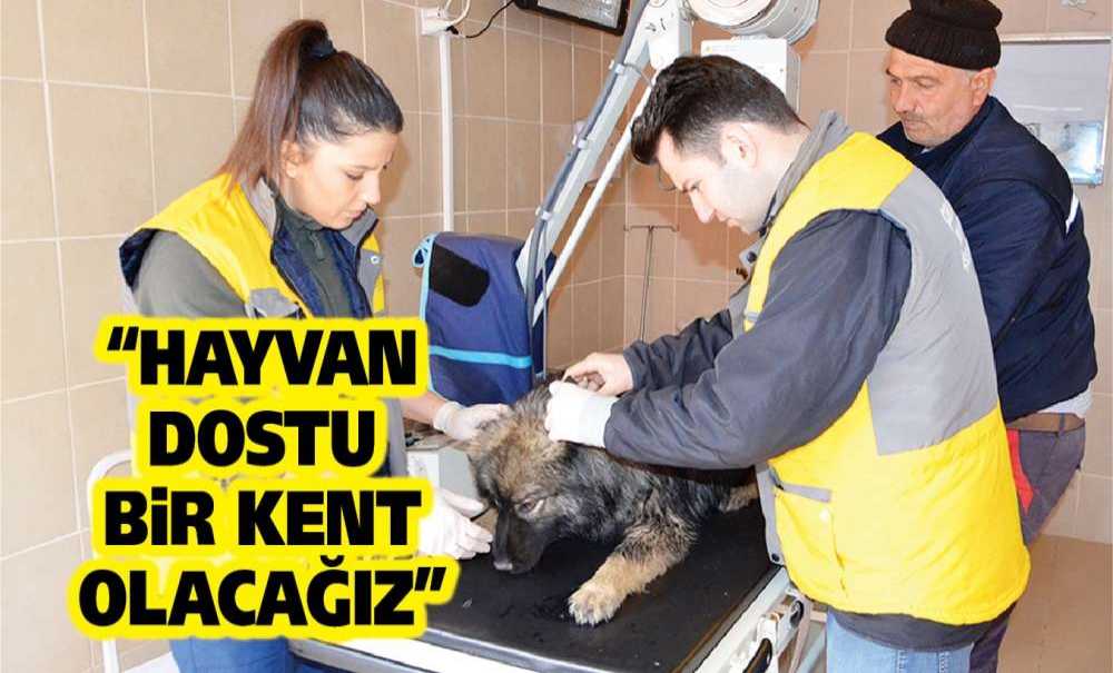 “Hayvan Dostu Bir Kent Olacağız”