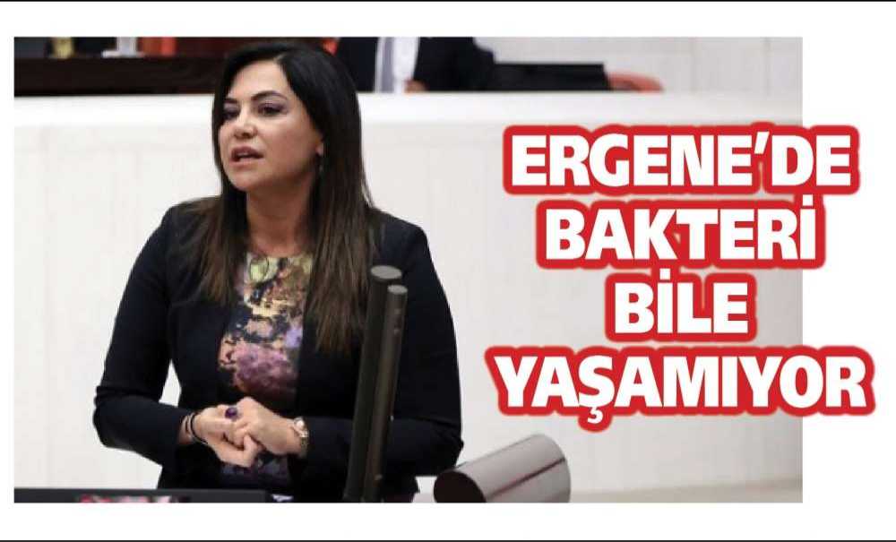 “Ergene'de Bakteri Bile Yaşamıyor”