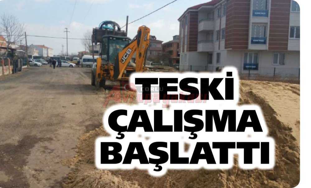 Teski Çalışma Başlattı