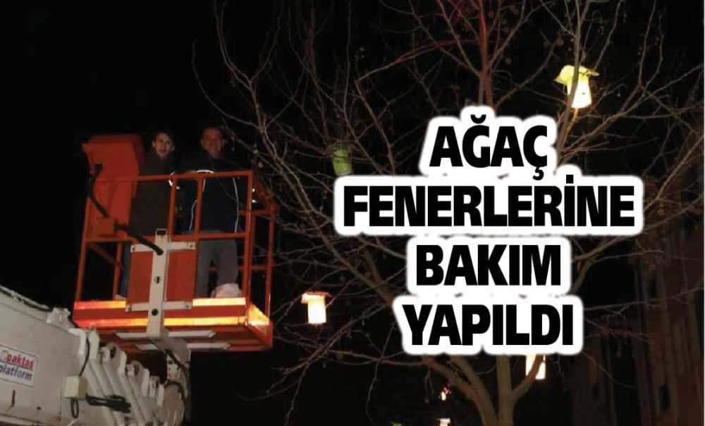 Ağaç Fenerlerine Bakım Yapıldı