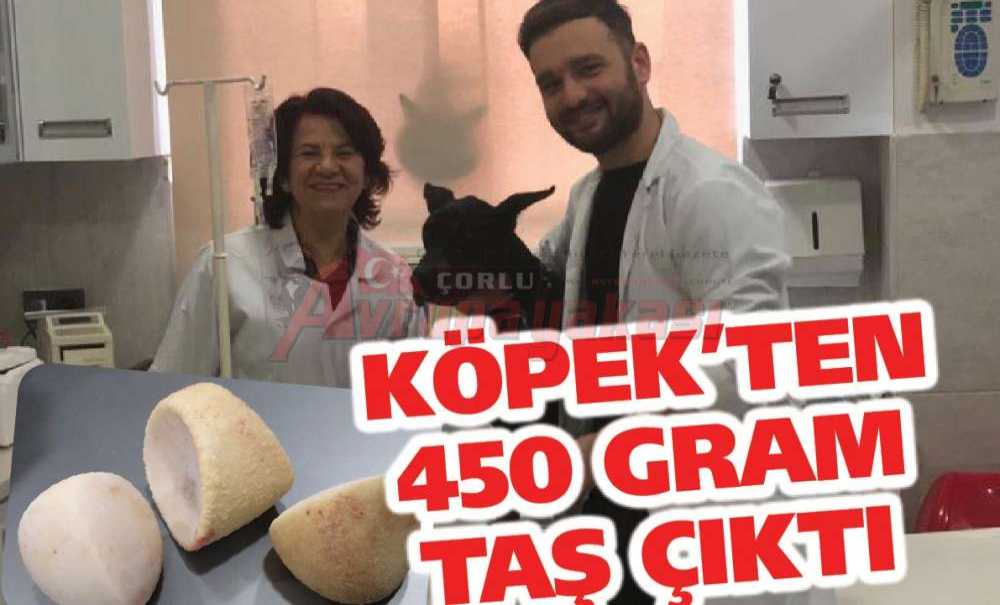 Köpek'ten 450 Gram Taş Çıktı