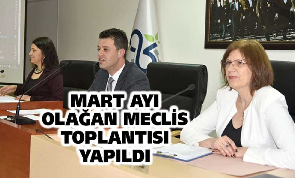 Mart Ayı Olağan Meclis Toplantısı Yapıldı