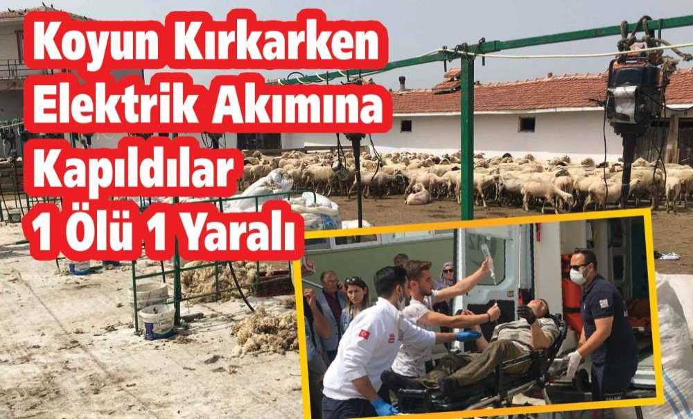 Koyun Kırkarken Elektrik Akımına Kapıldılar 1 Ölü 1 Yaralı