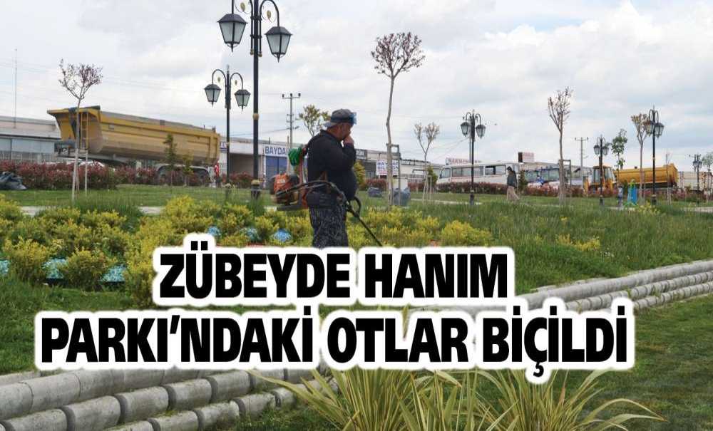 Zübeyde Hanım Parkı'ndaki Otlar Biçildi