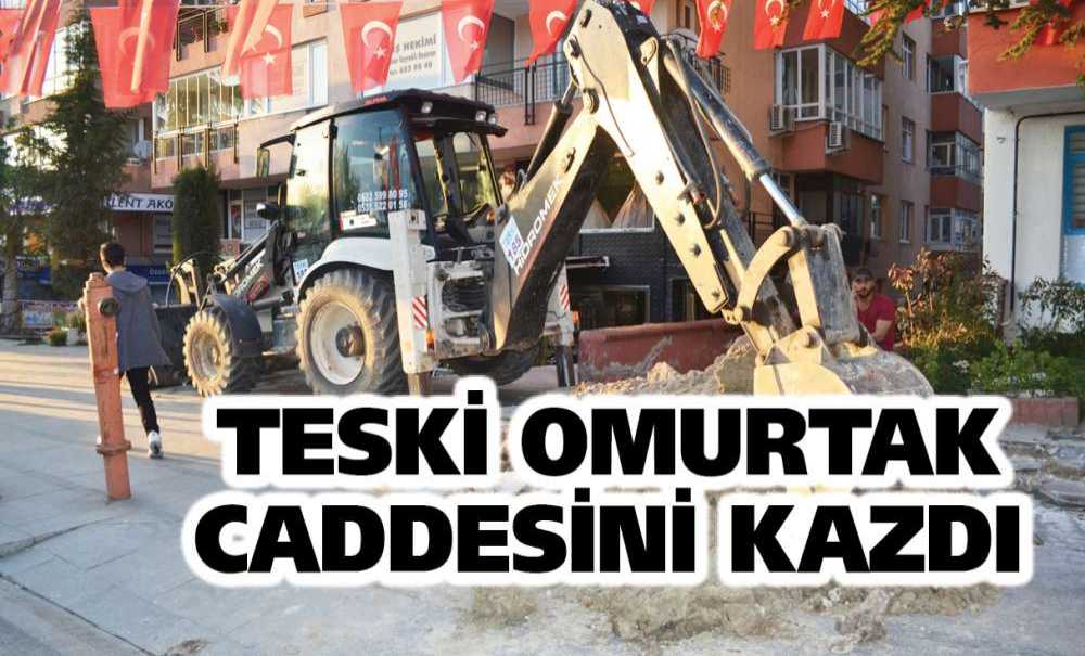 Teski Omurtak Caddesini Kazdı