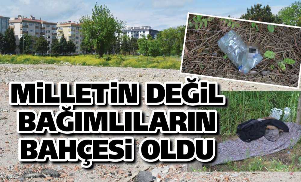 Milletin Değil Bağımlıların Bahçesi Oldu