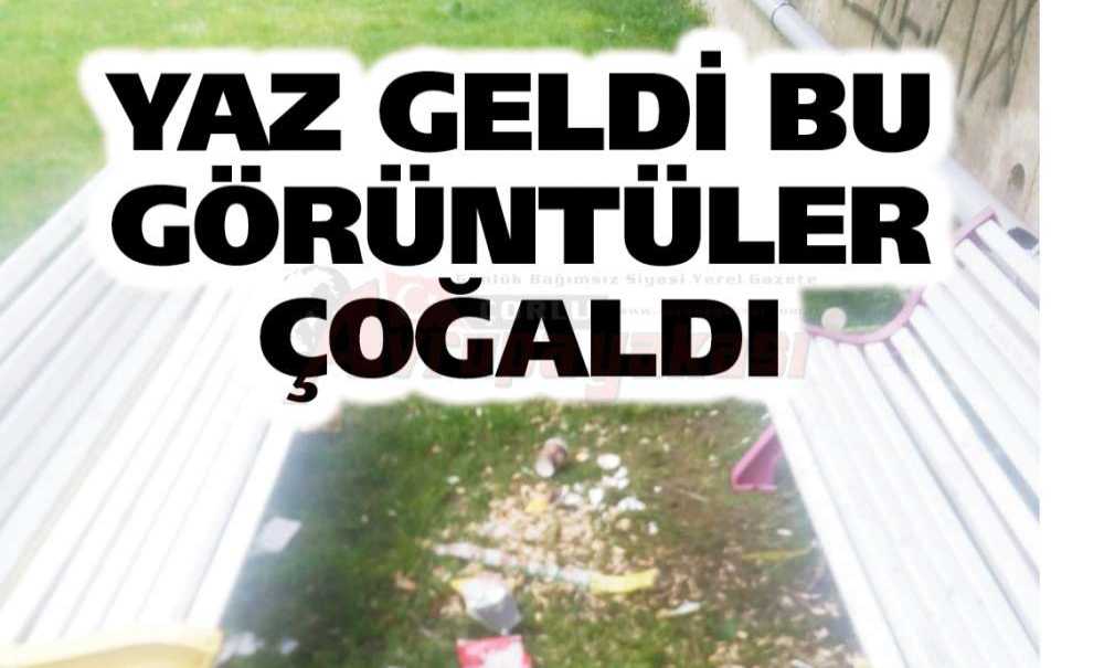 Yaz Geldi Bu Görüntüler Çoğaldı