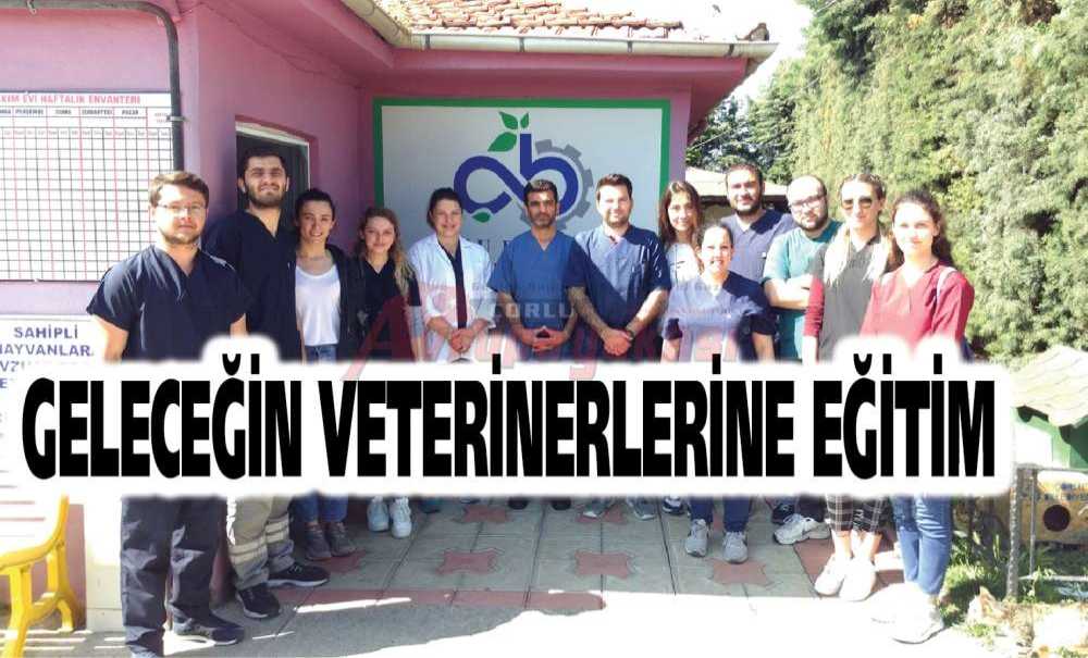 Geleceğin Veterinerlerine Eğitim