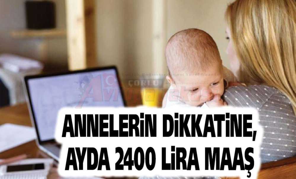 Annelerin Dikkatine, Ayda 2400 Lira Maaş