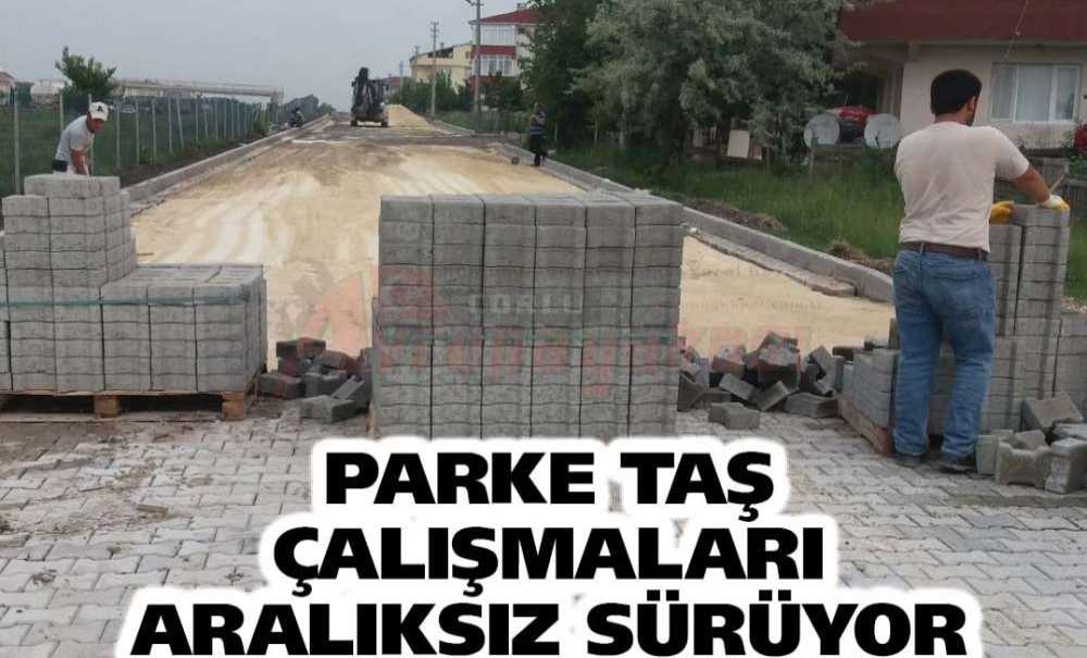 Parke Taş Çalışmaları Aralıksız Sürüyor