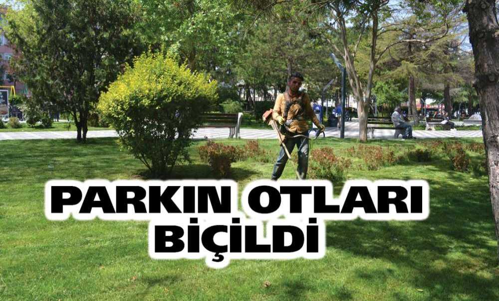 Parkın Otları Biçildi