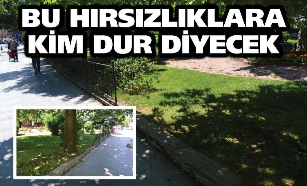 Bu Hırsızlıklara Kim Dur Diyecek