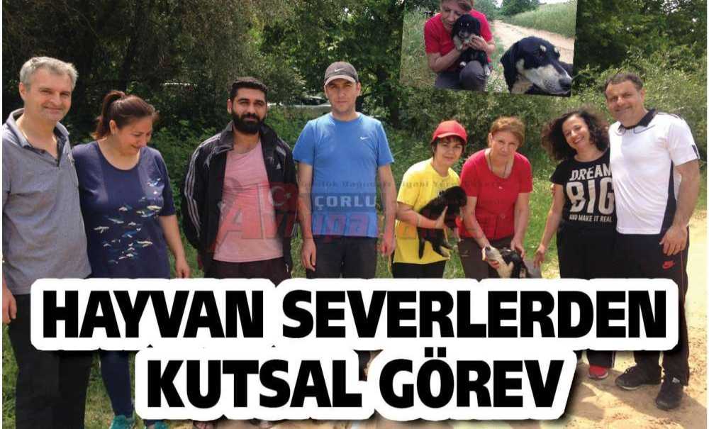 Hayvan Severlerden Kutsal Görev