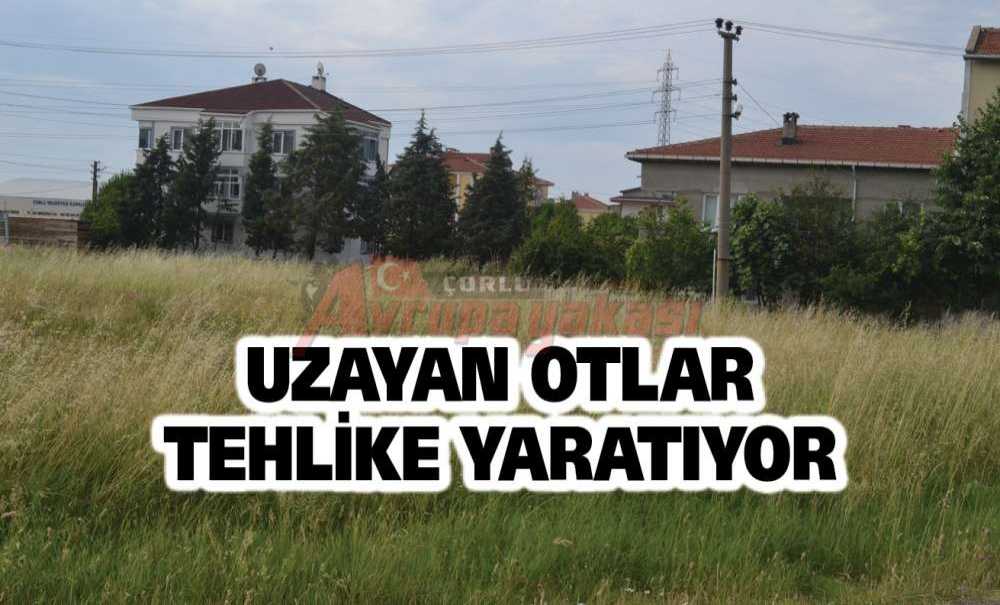 Uzayan Otlar Tehlike Yaratıyor