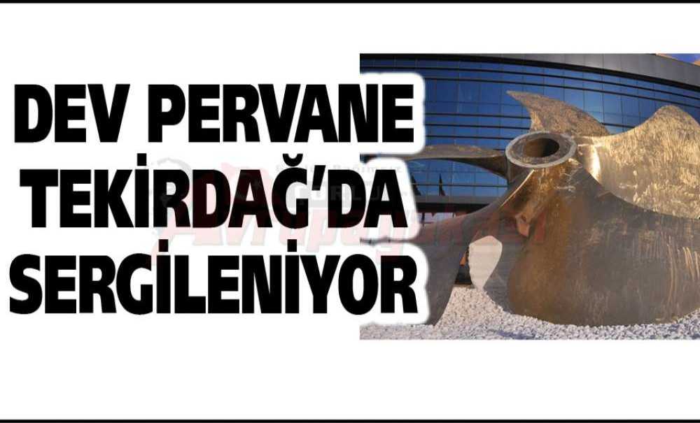 Dev Pervane Tekirdağ'da Sergileniyor