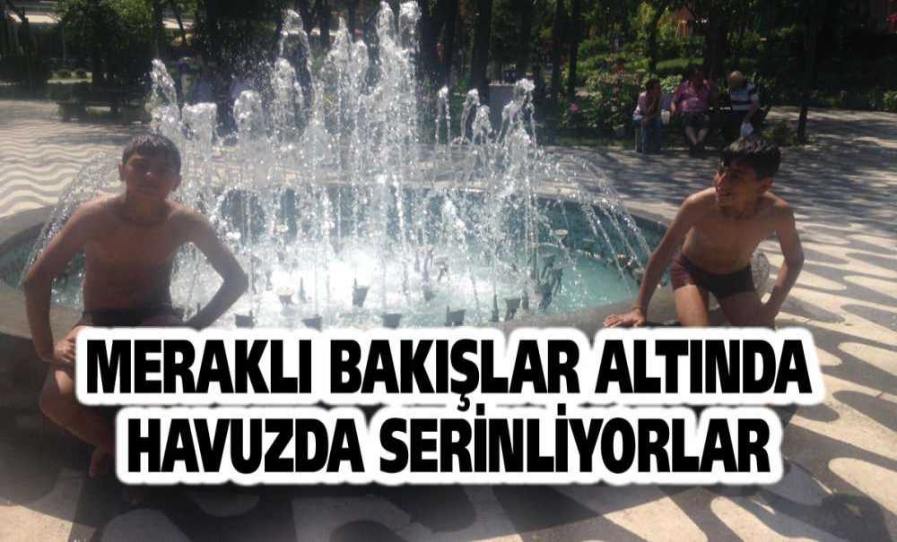 Meraklı Bakışlar Altında Havuzda Serinliyorlar