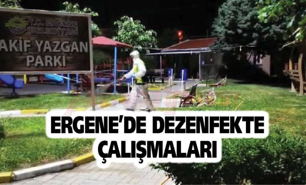 Ergene'de Dezenfekte Çalışmaları