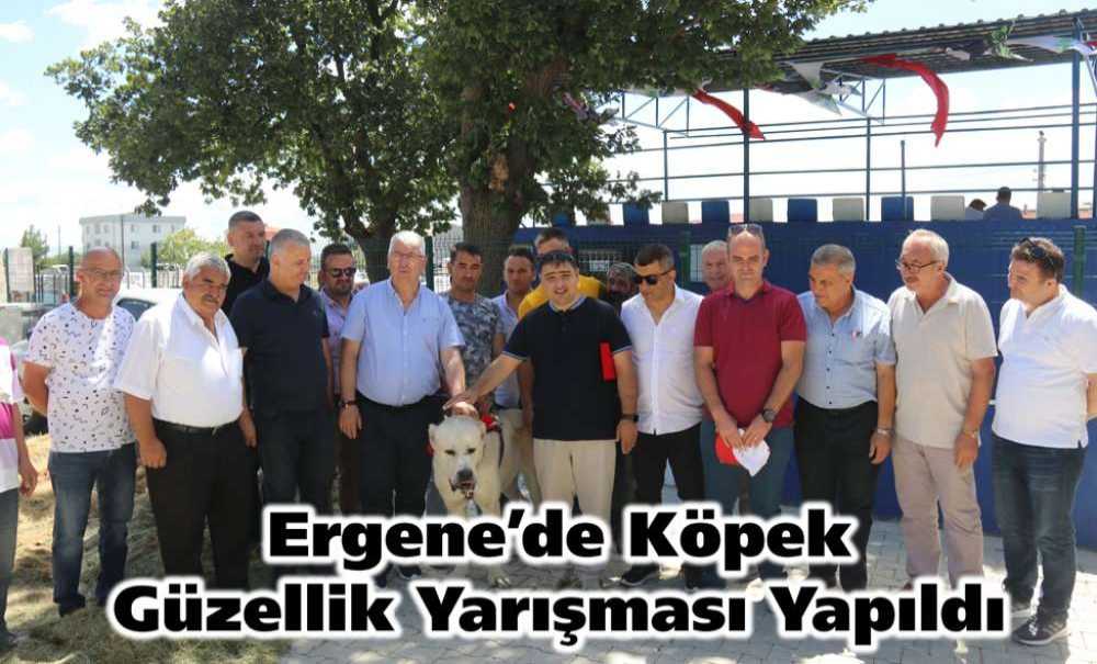 Ergene'de Köpek Güzellik Yarışması Yapıldı